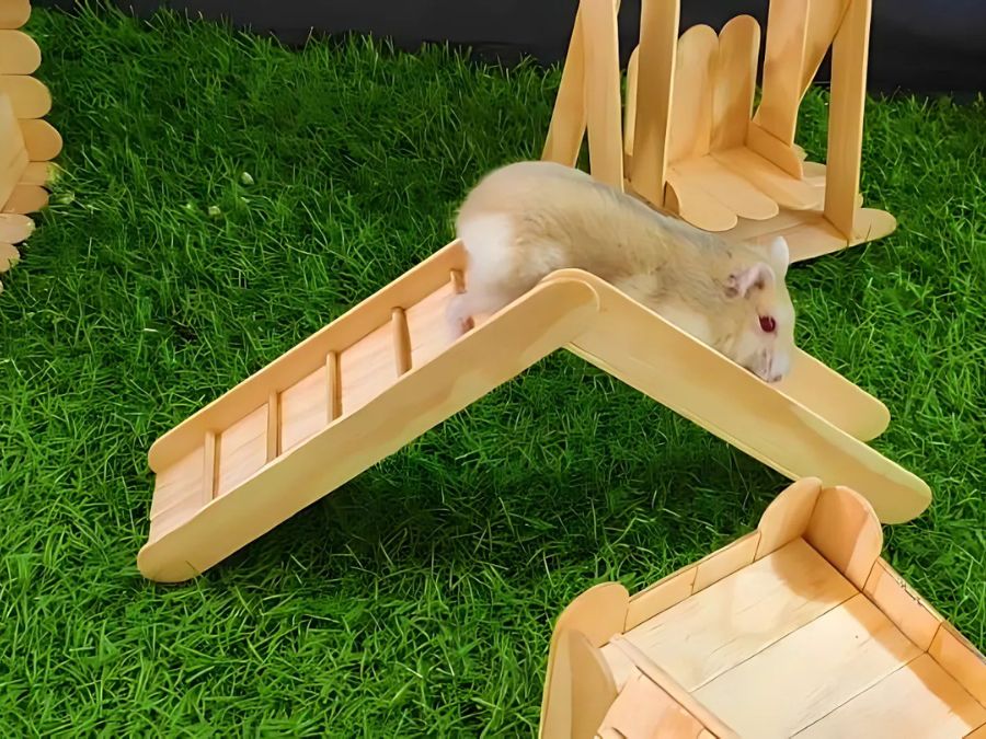 Tự làm đồ chơi cho hamster, vừa tiết kiệm vừa đầy sáng tạo!