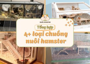 Tổng hợp 4 loại chuồng cho hamster