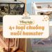 Tổng hợp 4 loại chuồng cho hamster