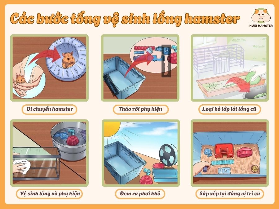 Các bước tổng vệ sinh lồng hamster