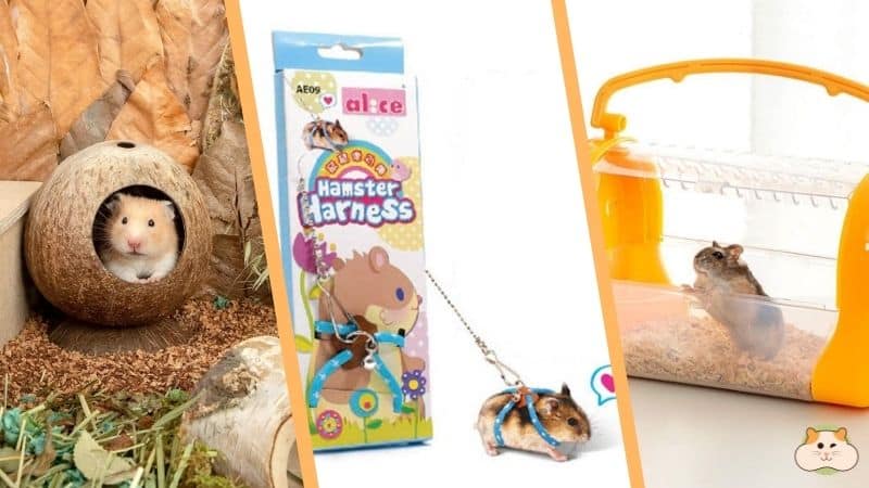 Các loại dụng cụ nuôi Hamster khác