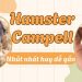Hamster Campell là con gì