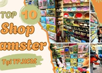 Top 10 Shop bán chuột Hamster tại hcm