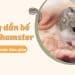 Cách bế hamster đúng cách