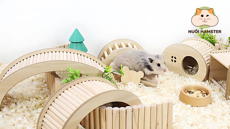 Cầu thang gỗ cho hamster leo trèo