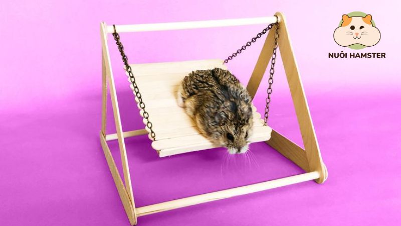 Xích đu mini cho bé hamster