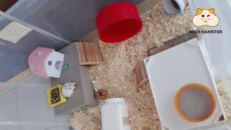 Combo đồ chơi hamster cơ bản gồm nhà, bánh xe chạy và đồ chơi gặm nhấm