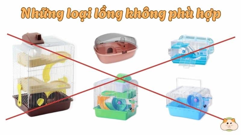 Các loại lồng không phù hợp với hamster