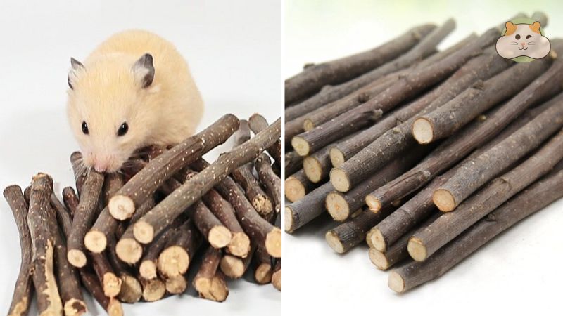 Cách làm đá mài răng cho hamster
