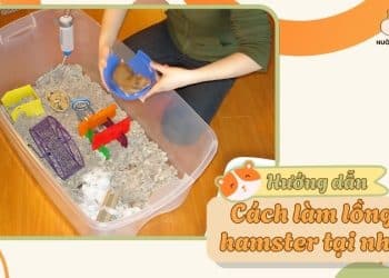 Cách làm chuồng nuôi hamster đơn giản tại nhà