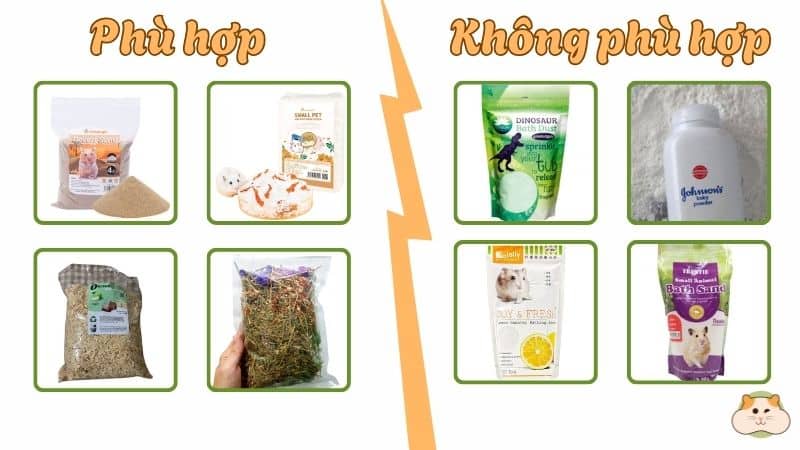 Các loại cát tắm phù hợp và không phù hợp cho hamster