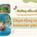 Cách chọn chuồng nuôi hamster