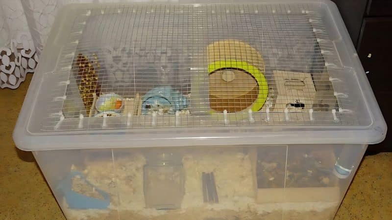 Chuồng mika nuôi hamster
