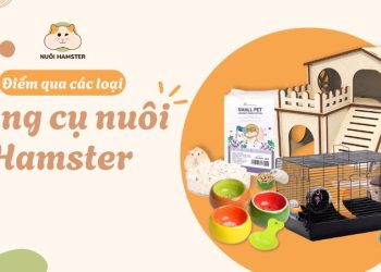dụng cụ nuôi hamster