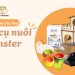 dụng cụ nuôi hamster