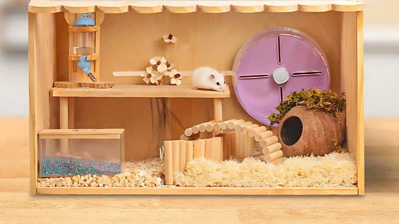 Các vật dụng không thể thiếu trong chuồng hamster