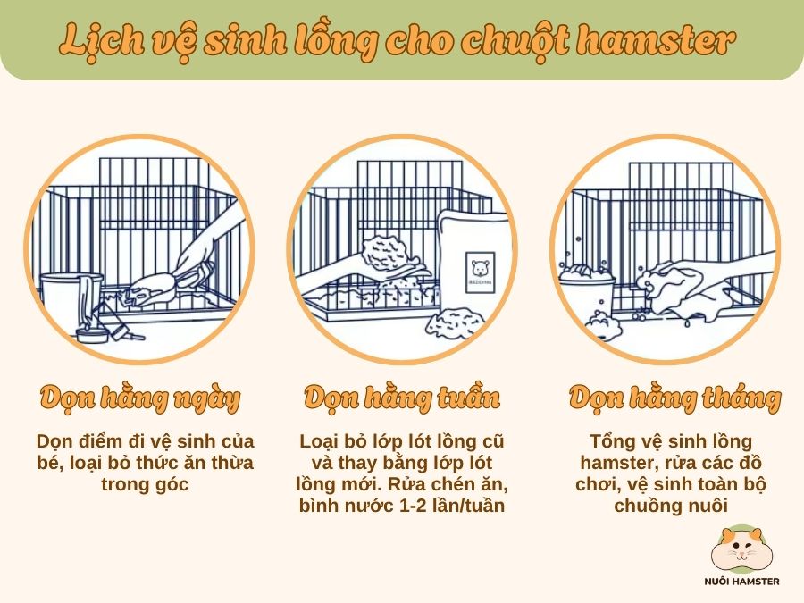 Lịch vệ sinh lồng hamster