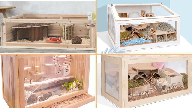 Các mẫu chuồng bằng gỗ hiện nay
