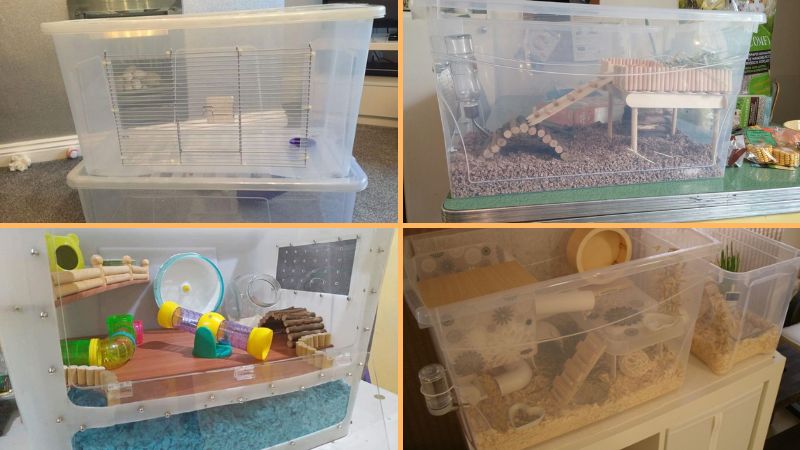 Thùng nhựa làm chuồng nuôi hamster