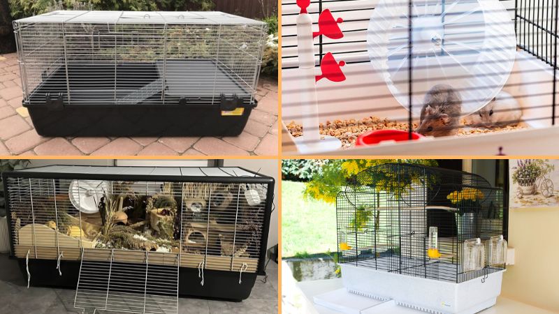 Lồng sắt nuôi hamster