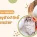 Biểu hiện ngôn ngữ cơ thể của Hamster