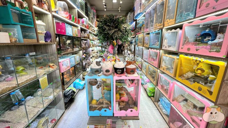 Pet Shop Miền Đất Hứa