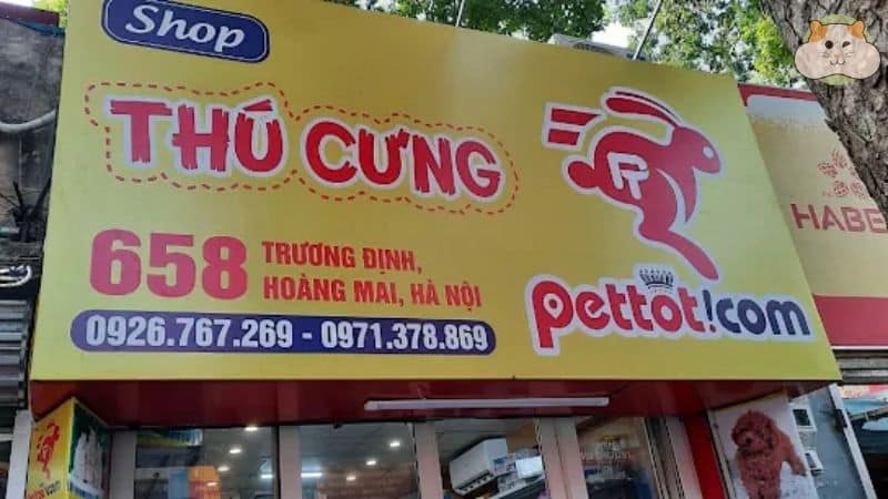 Pettot.com – Shop bán chuột hamster Hà Nội đáng tin cậy