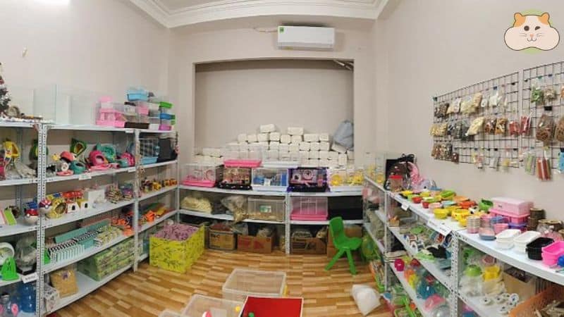 Jerry Hamster Shop – Shop bán chuột hamster Hà Nội uy tín, tận tình
