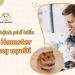 Chuột hamster có lây bệnh không