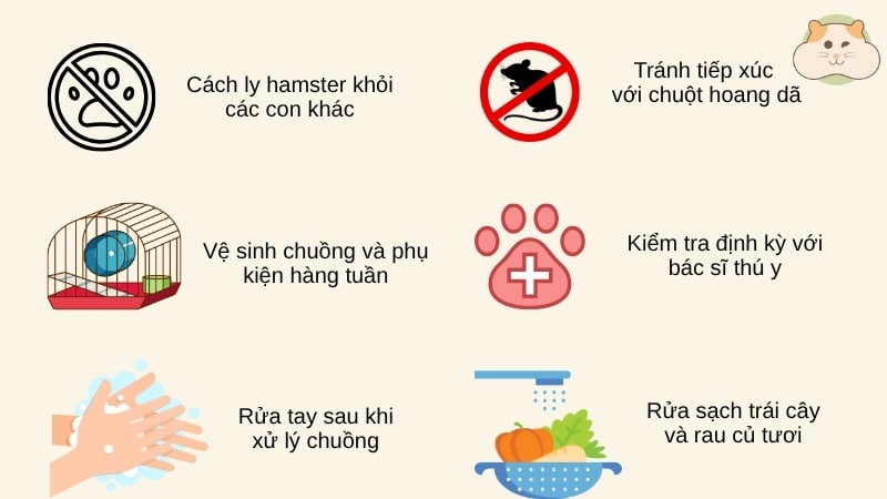 Cách phòng ngừa ve ở chuột hamster