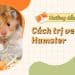 Cách trị ve cho hamster hiệu quả