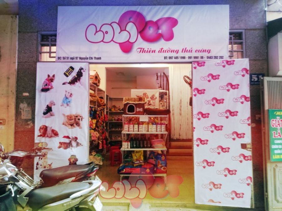 Shop chuột hamster LoliPet