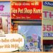 shop bán chuột hamster hà nội