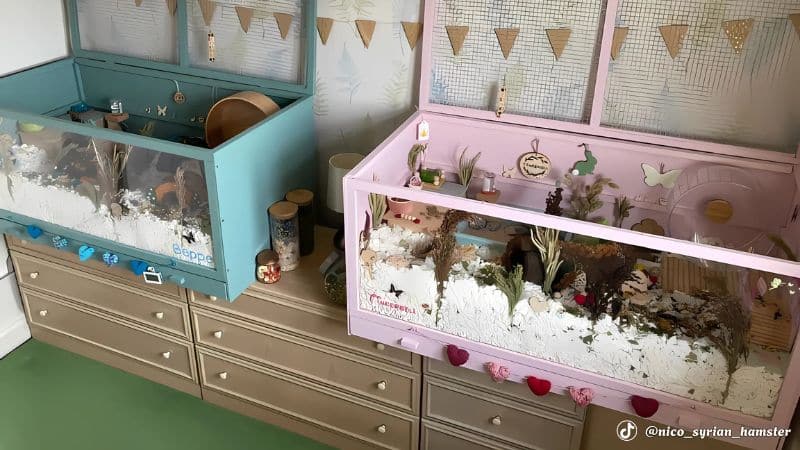 Lồng độ lại mặt kính cho hamster.