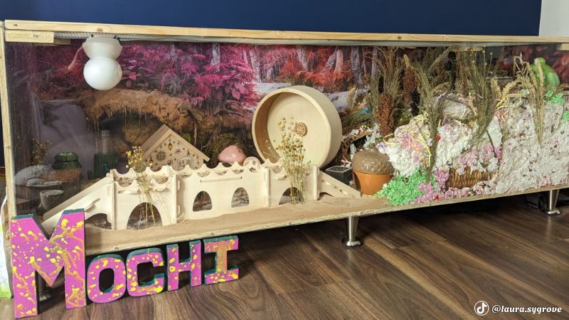Nhà mới nhất của bé Mochi hamster robo @laura.sygrove