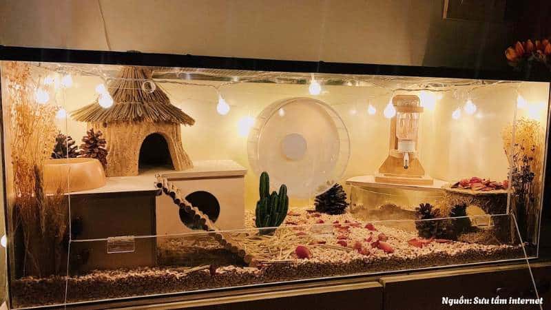 Lồng Hamster trang trí hiện đại với phụ kiện sáng bóng
