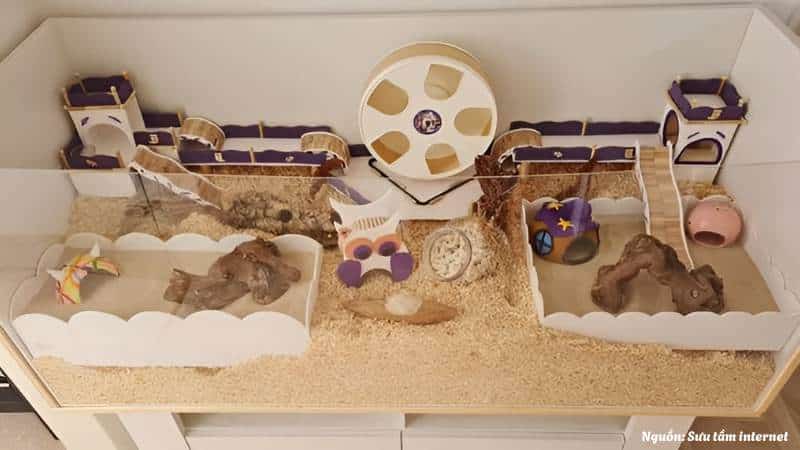 Lưu ý trang trí lồng nuôi Hamster để tối đa hóa không gian sống