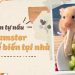 Cách tự làm thức ăn cho hamster tại nhà