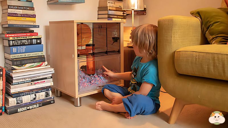 Đặt lồng hamster ở nơi yên tỉnh