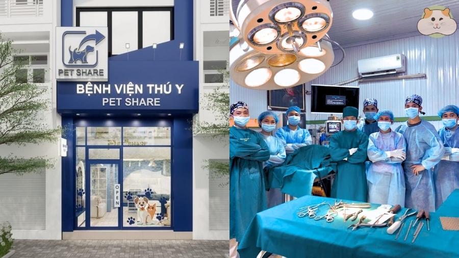 Petshare, phòng khám thú y hamster Hà Nội đáng tin cậy