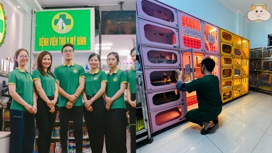 Bệnh viện thú y Mỹ Đình
