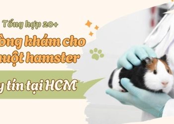 tổng hợp 20 phòng khám hamster hcm