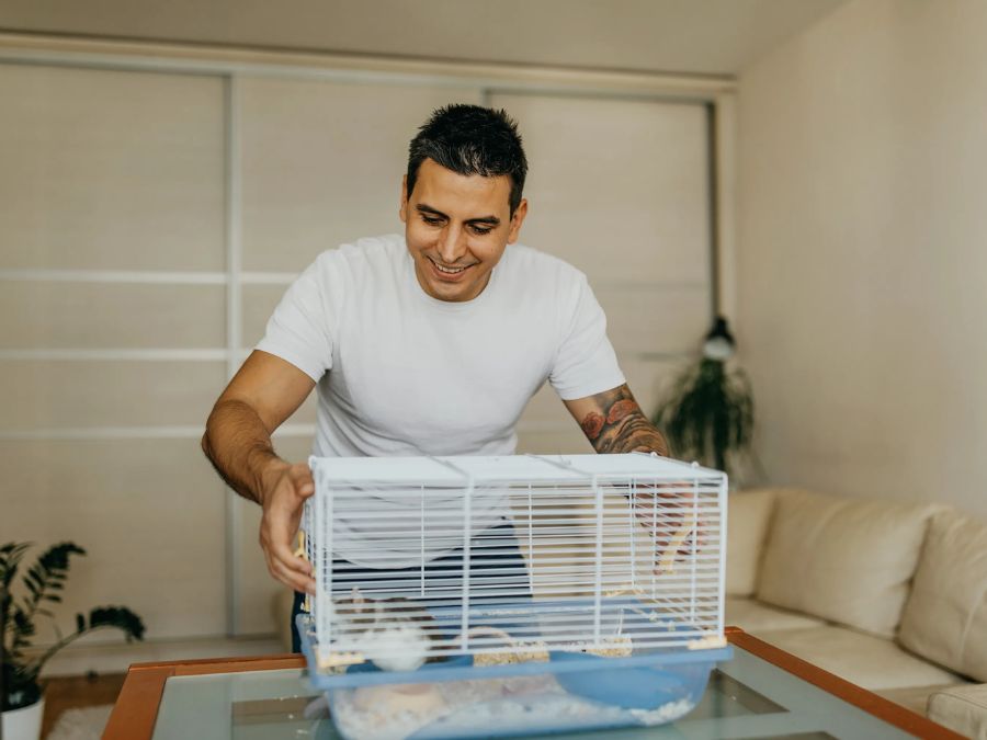 Vệ sinh lồng hamster định kỳ